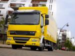 DAF LF45 4x2 FA Day Cab 2006 года